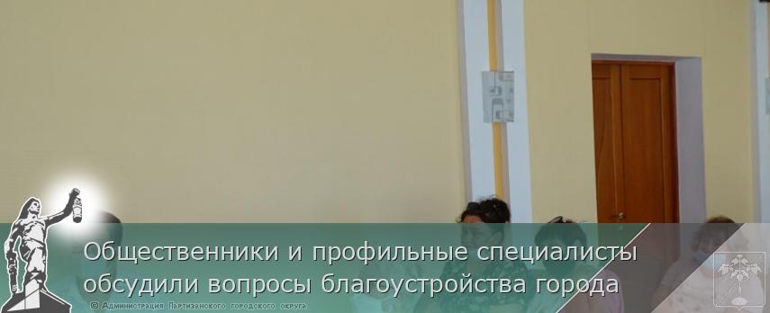 Общественники и профильные специалисты обсудили вопросы благоустройства города